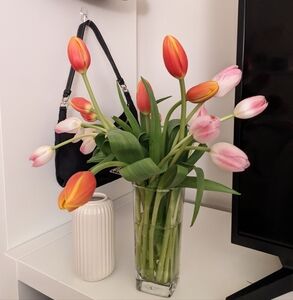 EVERYTHING MUST GO ⭐